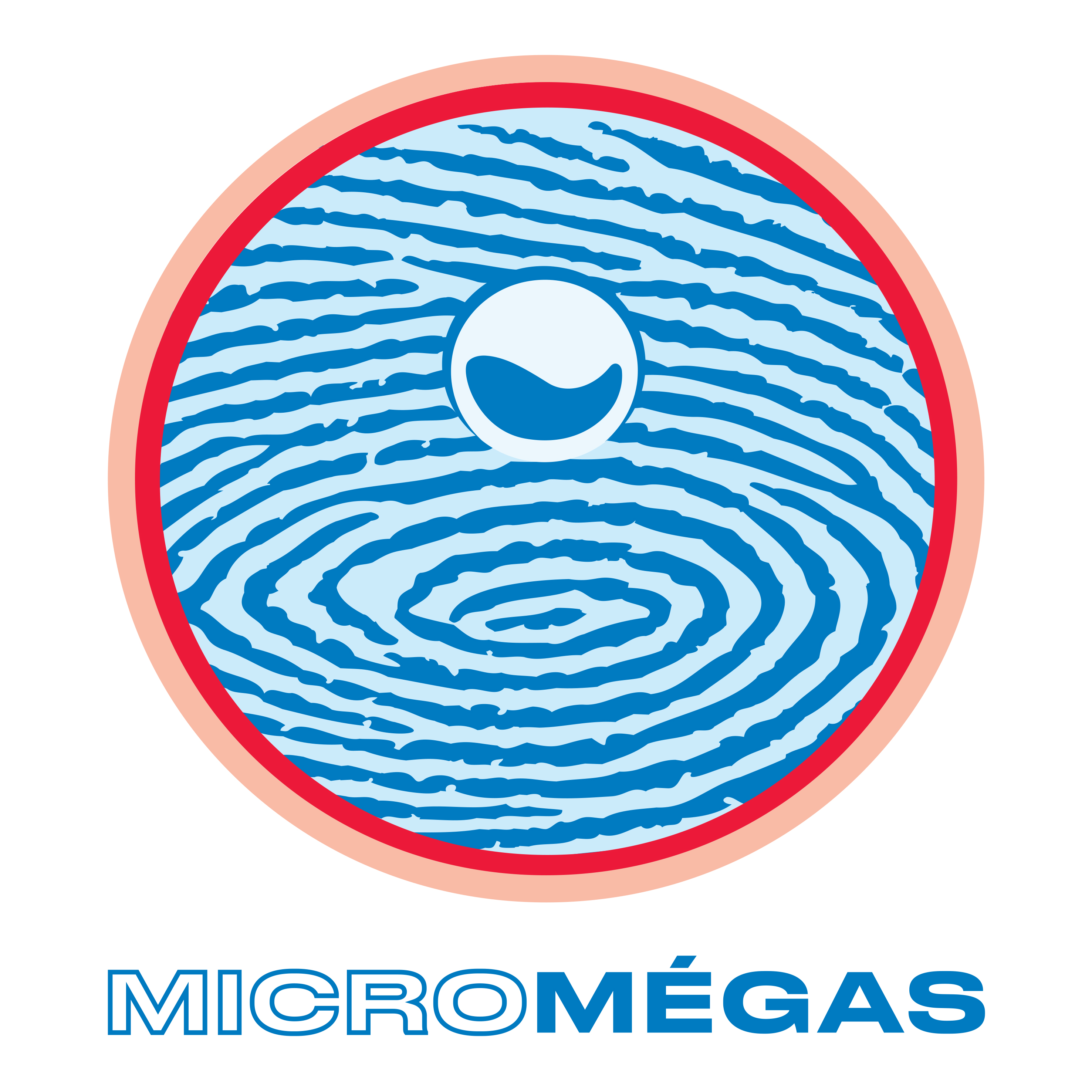 logo Micromégas